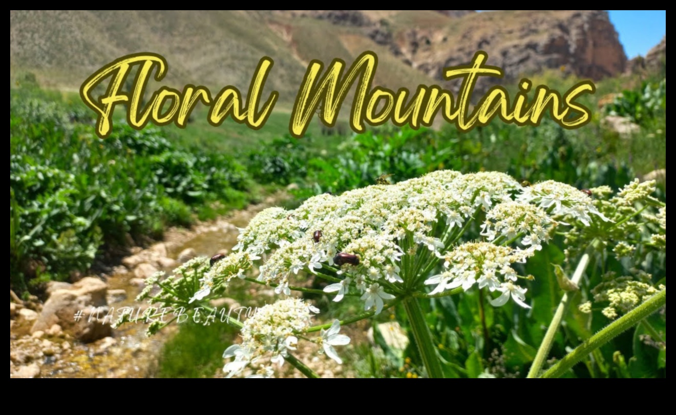 פנטזיה פרחונית: יופי פורח באמצעות סגנונות צילום בטבע