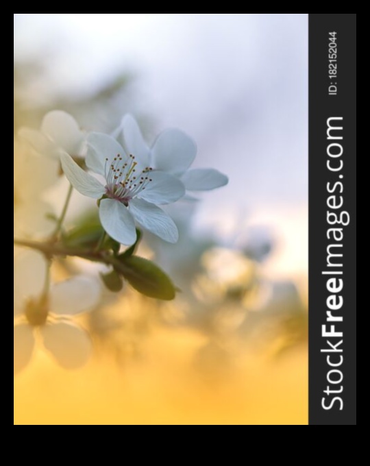 פנטזיה פרחונית: יופי פורח באמצעות סגנונות צילום בטבע