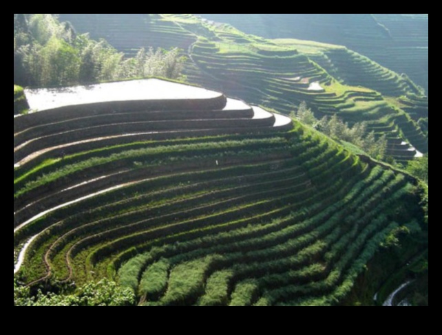 כיצד תורמת הפעילות האנושית לשינוי הנופים?