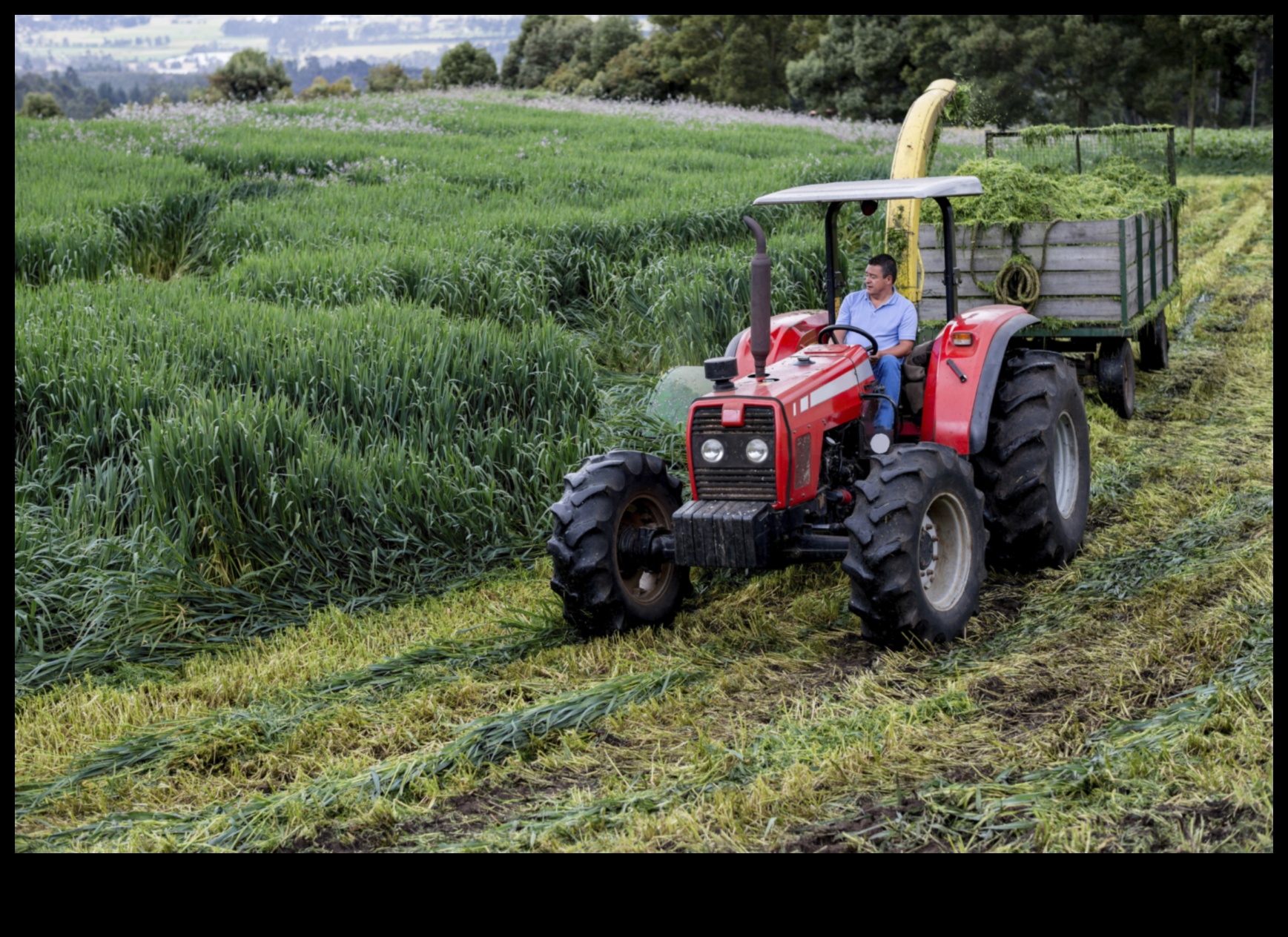 כיצד תורמת הפעילות האנושית לשינוי הנופים?