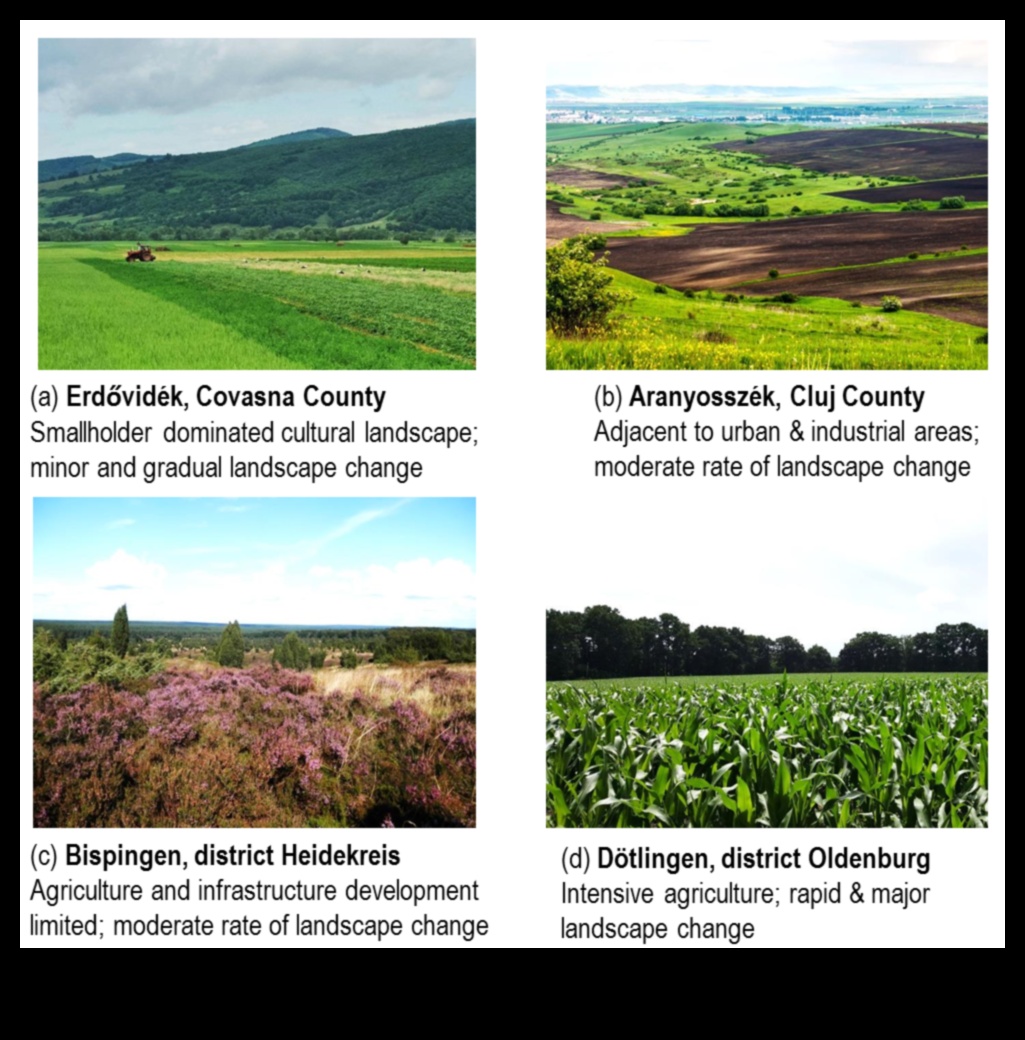 כיצד תורמת הפעילות האנושית לשינוי הנופים?