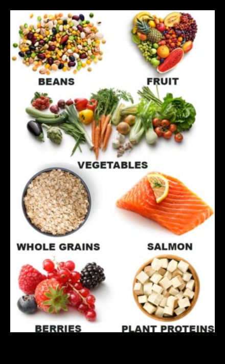 בחינת ההשפעה של דיאטות קצרות טווח על רמות הכולסטרול