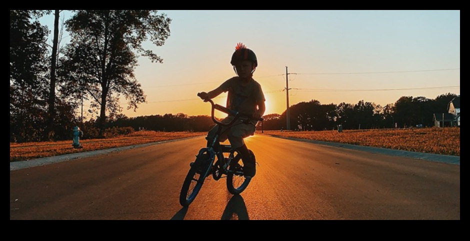 ניגודים יצירתיים: טכניקות להדגשת הבדלים חזותיים בצילום