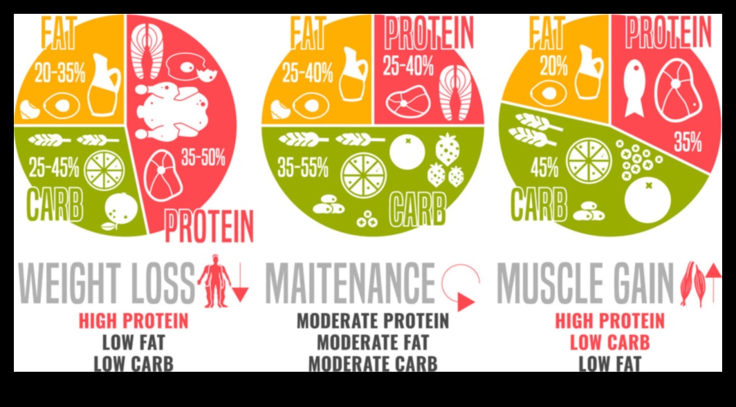 פירוק מקרונוטריינטים: מדריך ליחסים מאוזנים