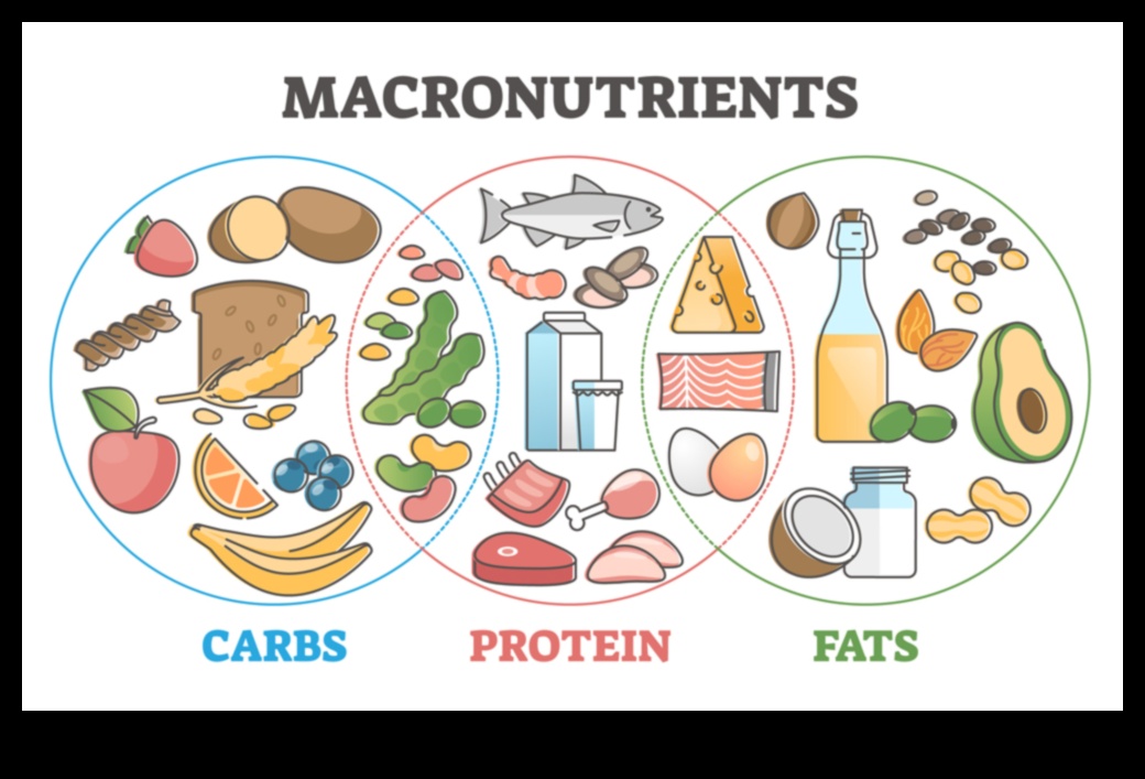 פירוק מקרונוטריינטים: מדריך ליחסים מאוזנים