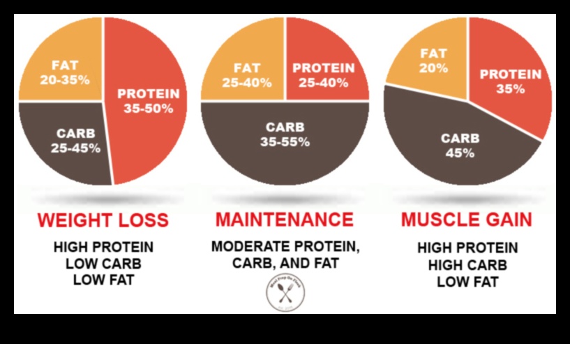פירוק מקרונוטריינטים: מדריך ליחסים מאוזנים