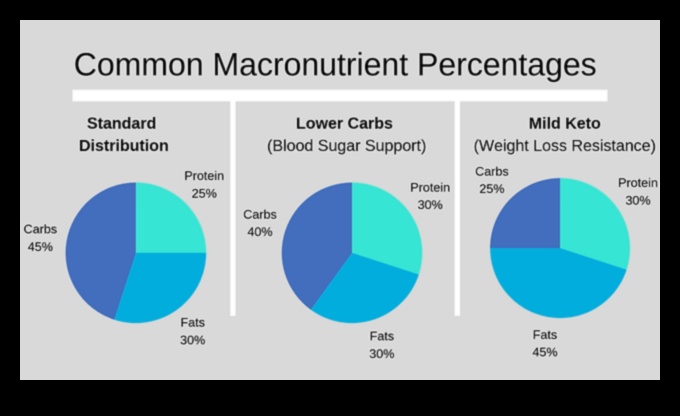 פירוק מקרונוטריינטים: מדריך ליחסים מאוזנים