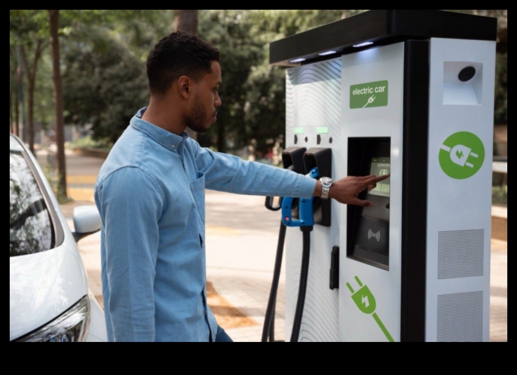 מחקרים ידידותיים לסביבה: מכוניות חשמליות וחיים בר קיימא