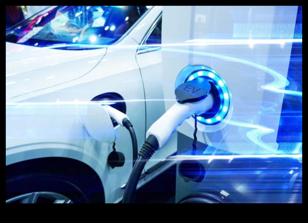 מחקרים ידידותיים לסביבה: מכוניות חשמליות וחיים בר קיימא