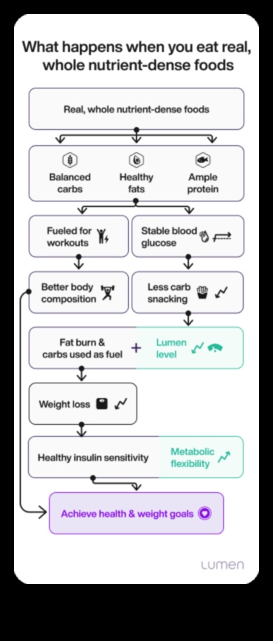 התפקיד של מזונות צפופים בחומרים מזינים בגמישות מטבולית