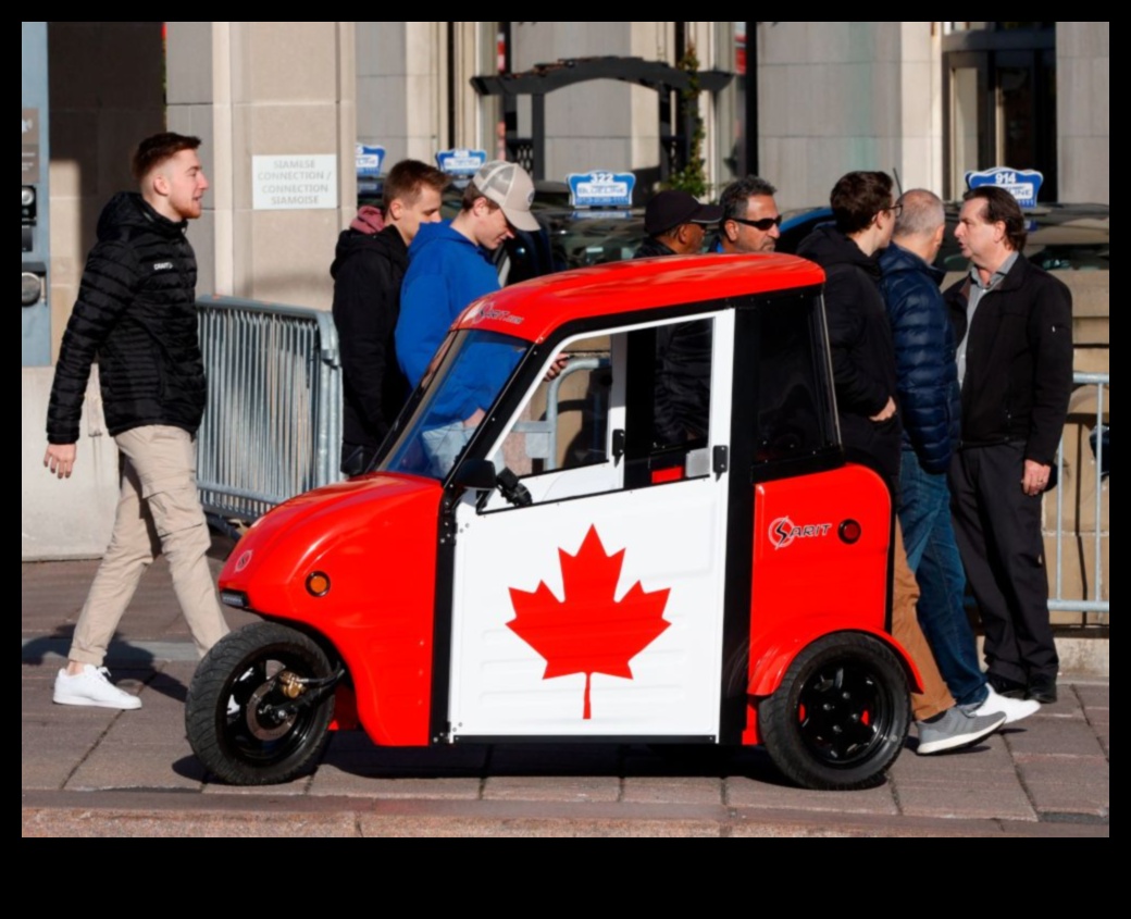 נסיעות נקיות: הפופולריות הגוברת של מכוניות חשמליות בערים