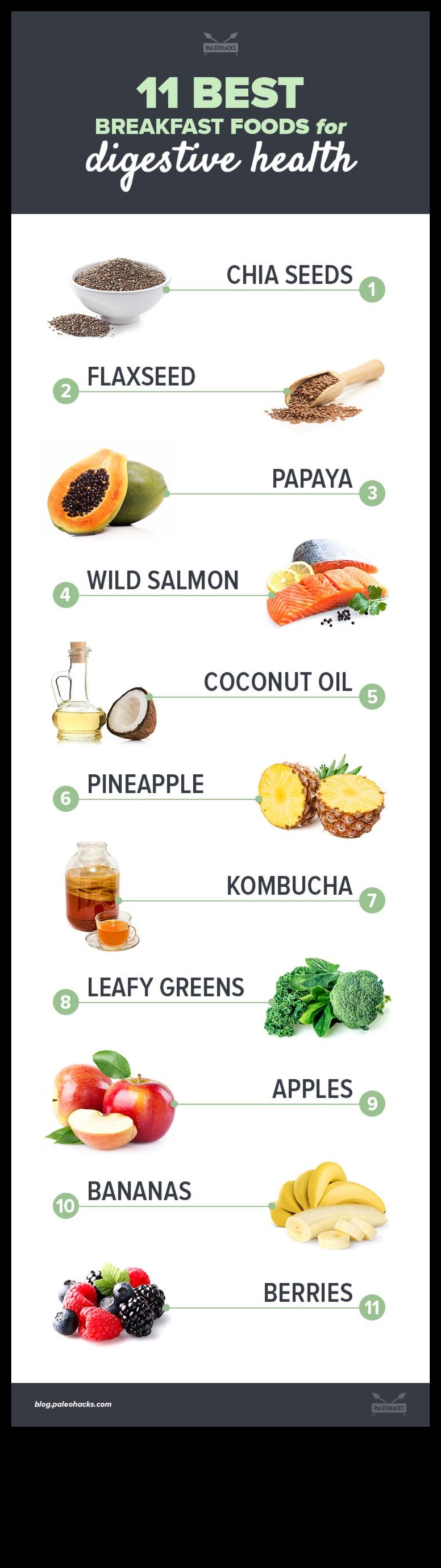 הקשר בין פליאו לבריאות מערכת העיכול