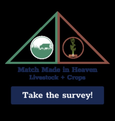 דיאטות דלות פחמימות וחקלאות בת קיימא: גישה ירוקה