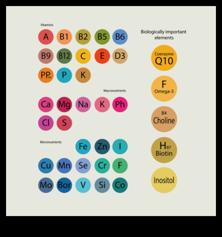 Micronutrient Marvels: חקר עולם היסודות החיוניים