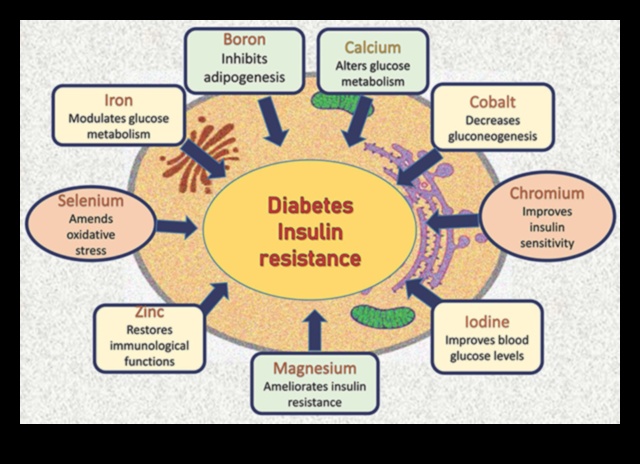 Micronutrient Marvels: חקר עולם היסודות החיוניים