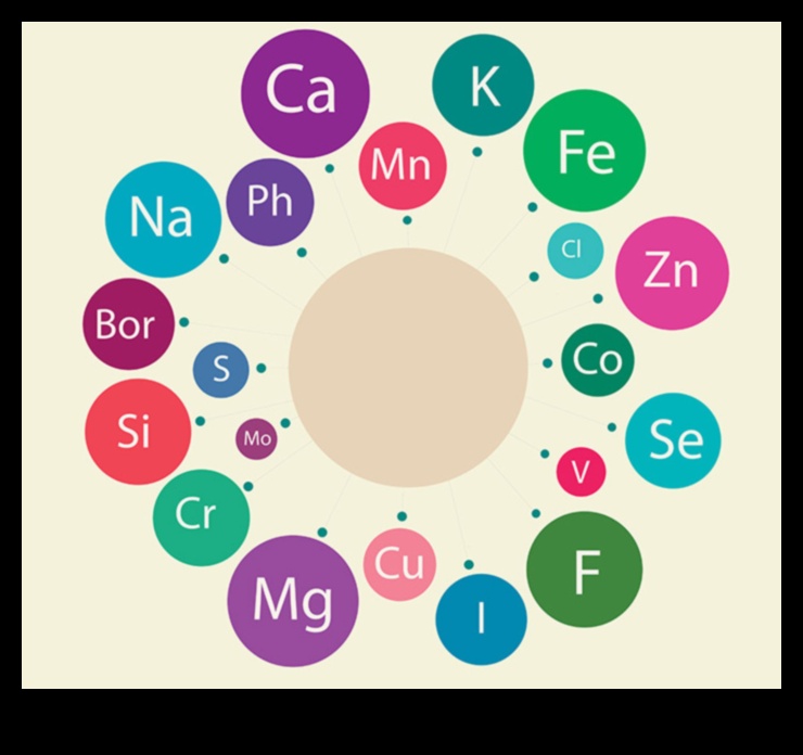 Micronutrient Marvels: חקר עולם היסודות החיוניים