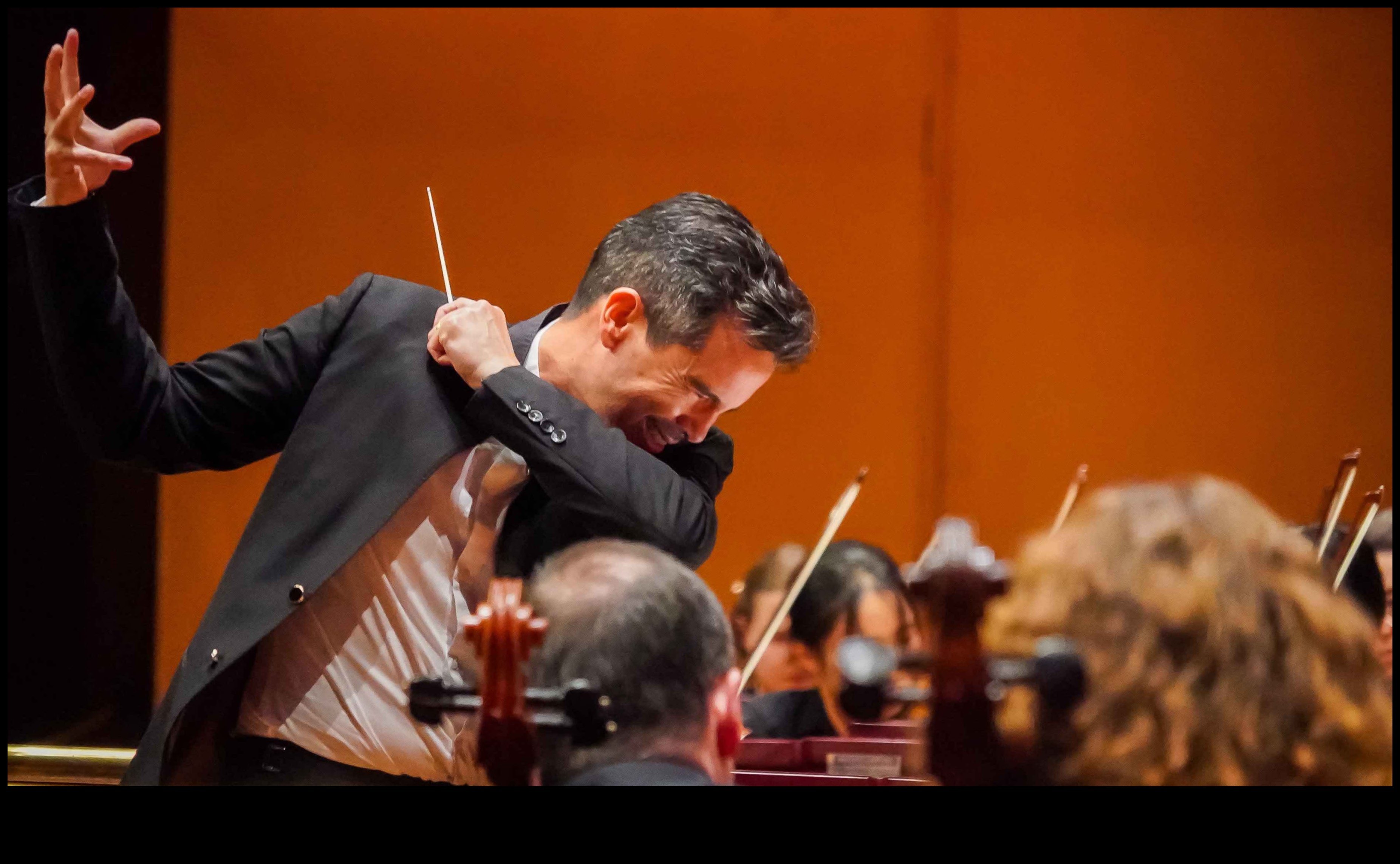 סימפוניה מיקרוקוסמית: חיבור יצירות מופת חזותיות עם מאקרו