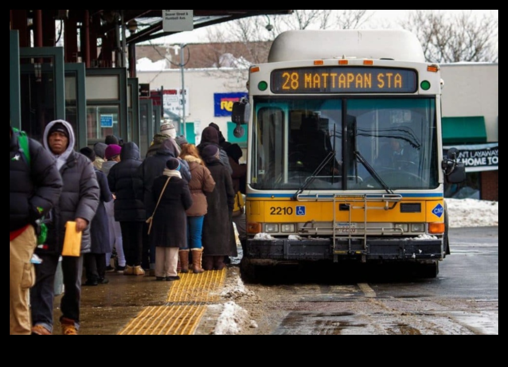 תחנות אוטובוס ומעבר לכך: פוטנציאל החקר האינסופי של התחבורה הציבורית
