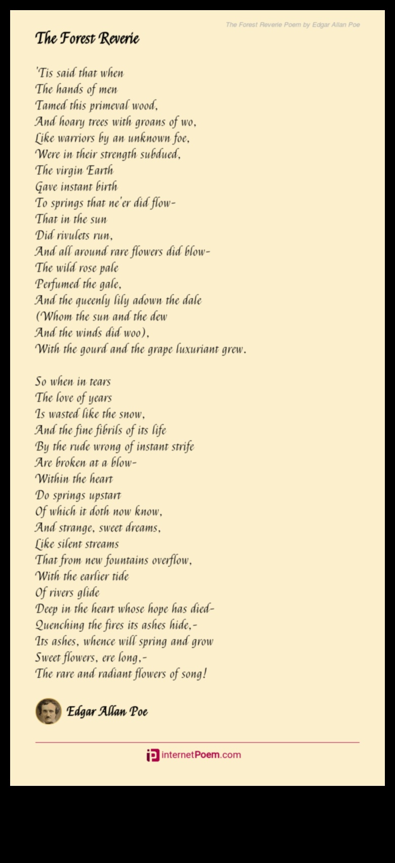 River Reverie: חקר השירה של נחלים ונחלים בנופים