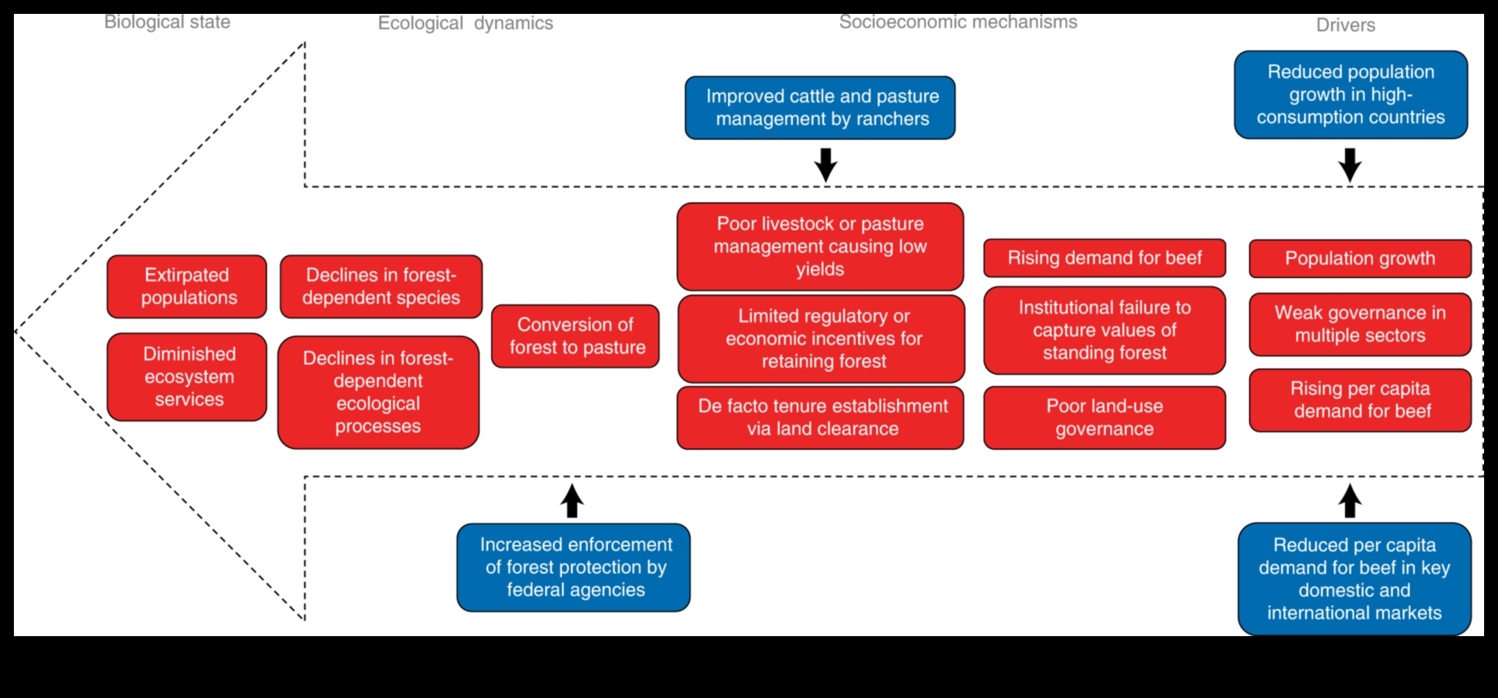 גבולות המגוון הביולוגי II: המשך חשיפת אזורי שימור ברחבי העולם