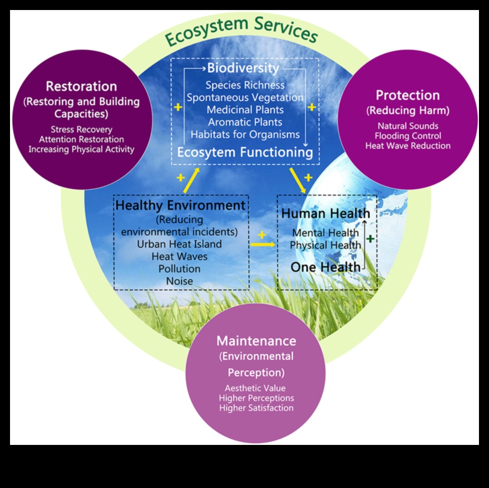 גבולות המגוון הביולוגי II: המשך חשיפת אזורי שימור ברחבי העולם