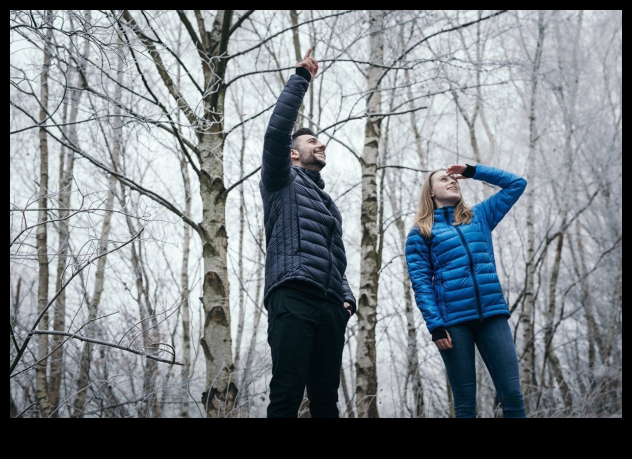 הרפתקאות ללא פליטות: התחברות לטבע באמצעות כלי רכב חשמליים