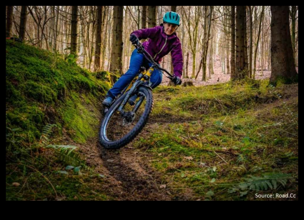 פלאי אופני הרים: חקור את עולם רכיבת השטח