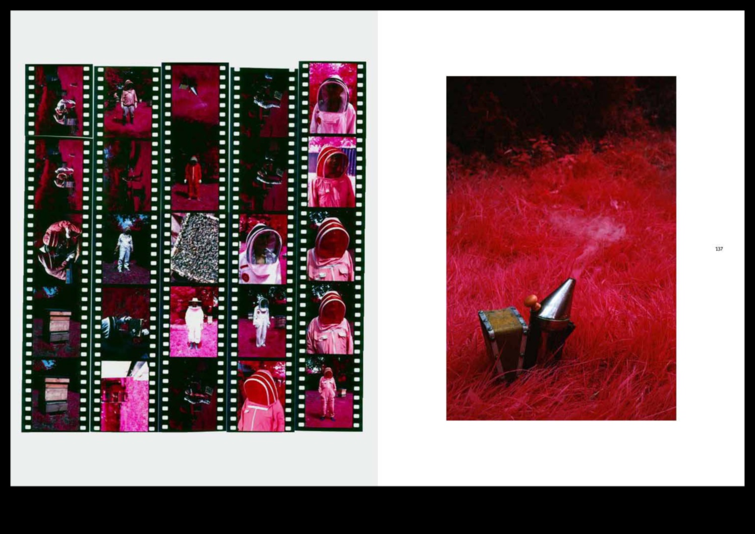 הופעות אינפרא אדום: חשיפת הבלתי נראה עם סגנונות צילום קורנים