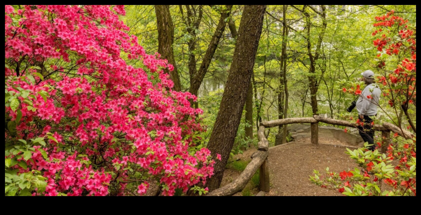 גן עדן מוגן II: אזורים טבעיים תחת הגנה גלובלית