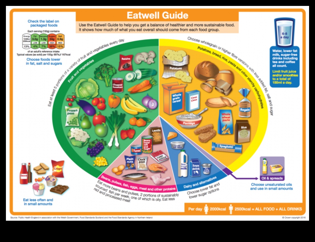 יצירת צלחת עשירה בחומרים מזינים: יסודות דיאטה לטווח ארוך