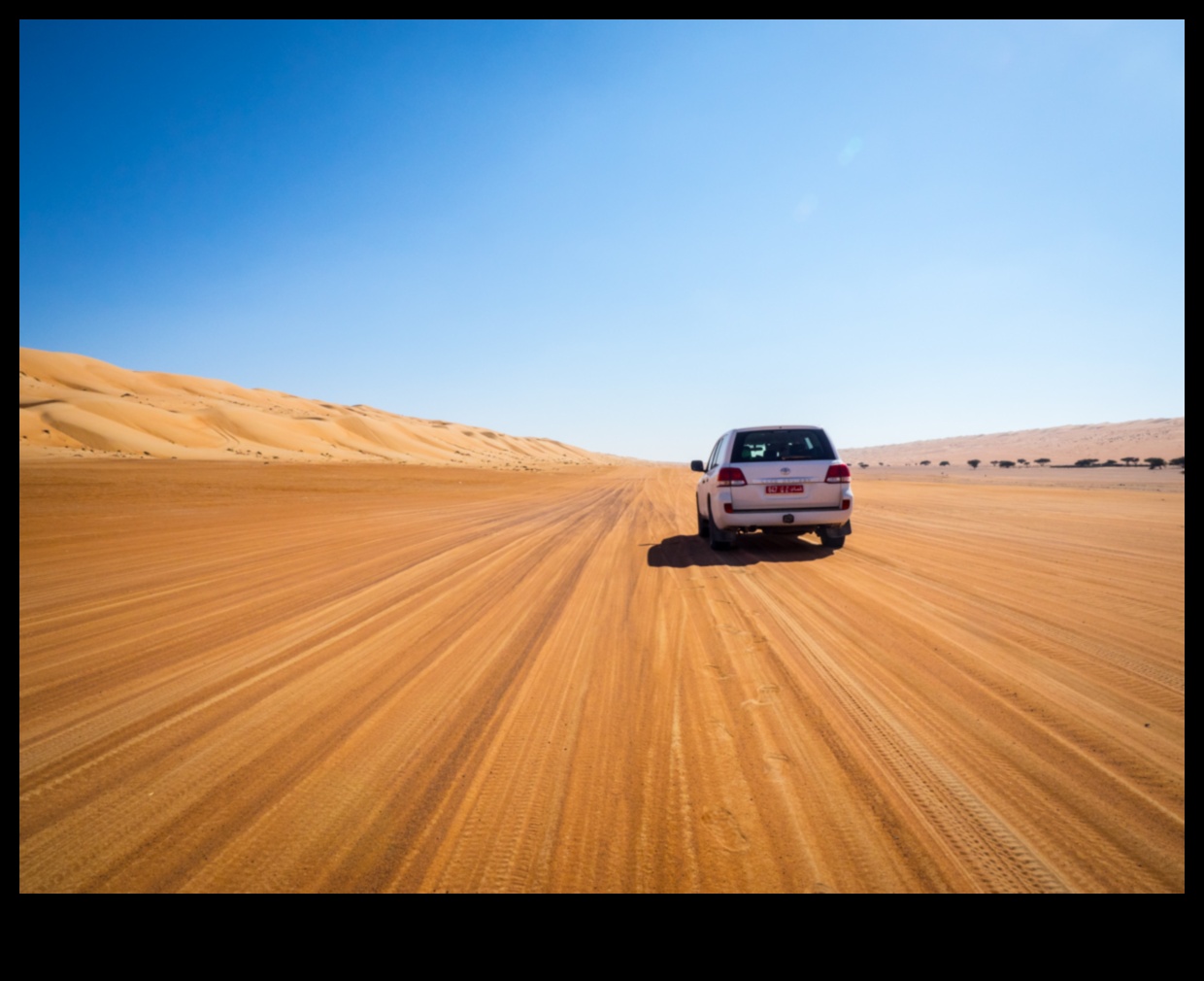 חלומות במדבר: רכבי שטח המתמודדים עם החולות בכושר שאין שני לו
