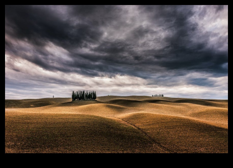 HDR Wonders: הרם את הצילום שלך עם טווח דינמי גבוה