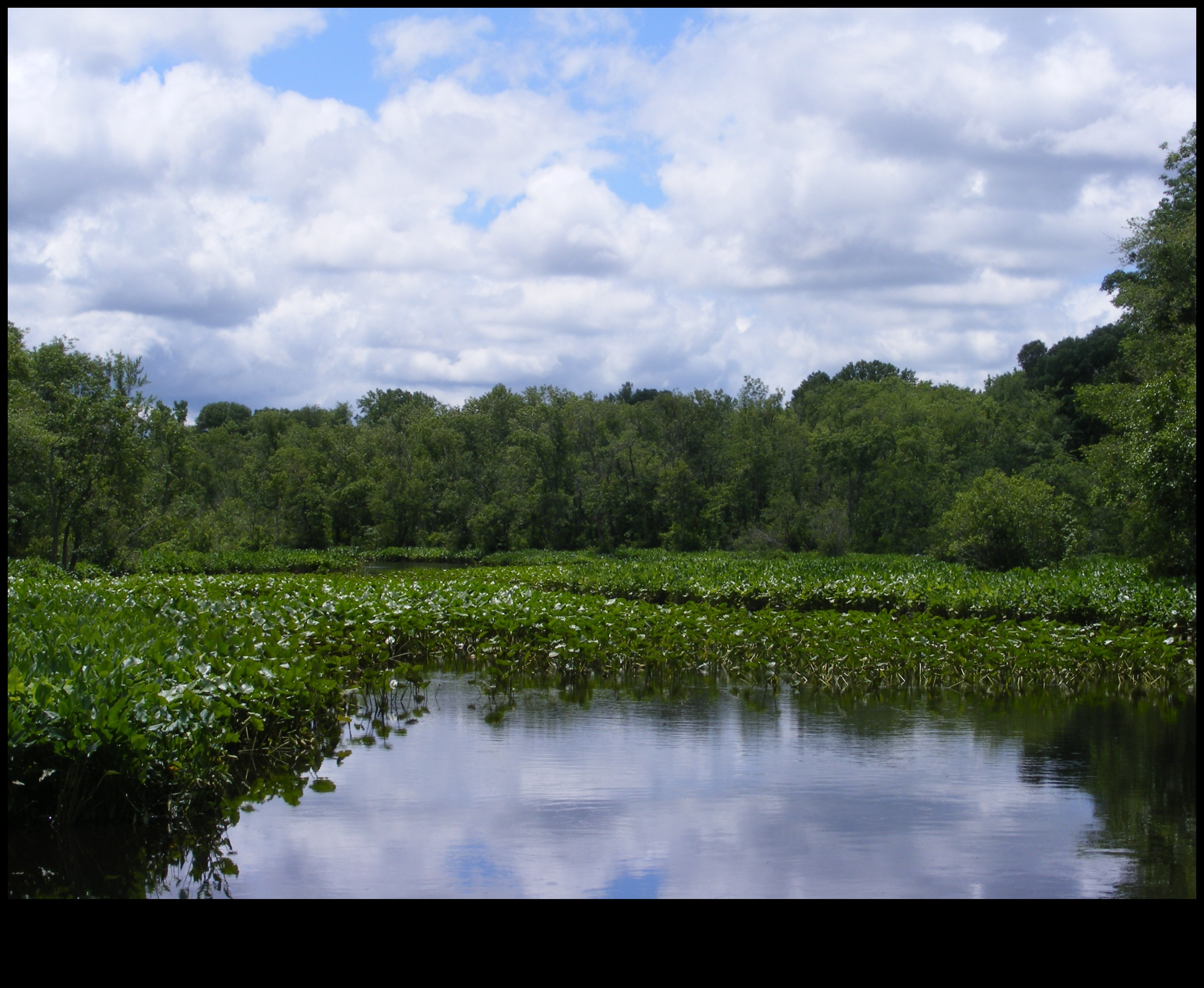 נקודות מבט של ילידים: חקר נופי שבטיים