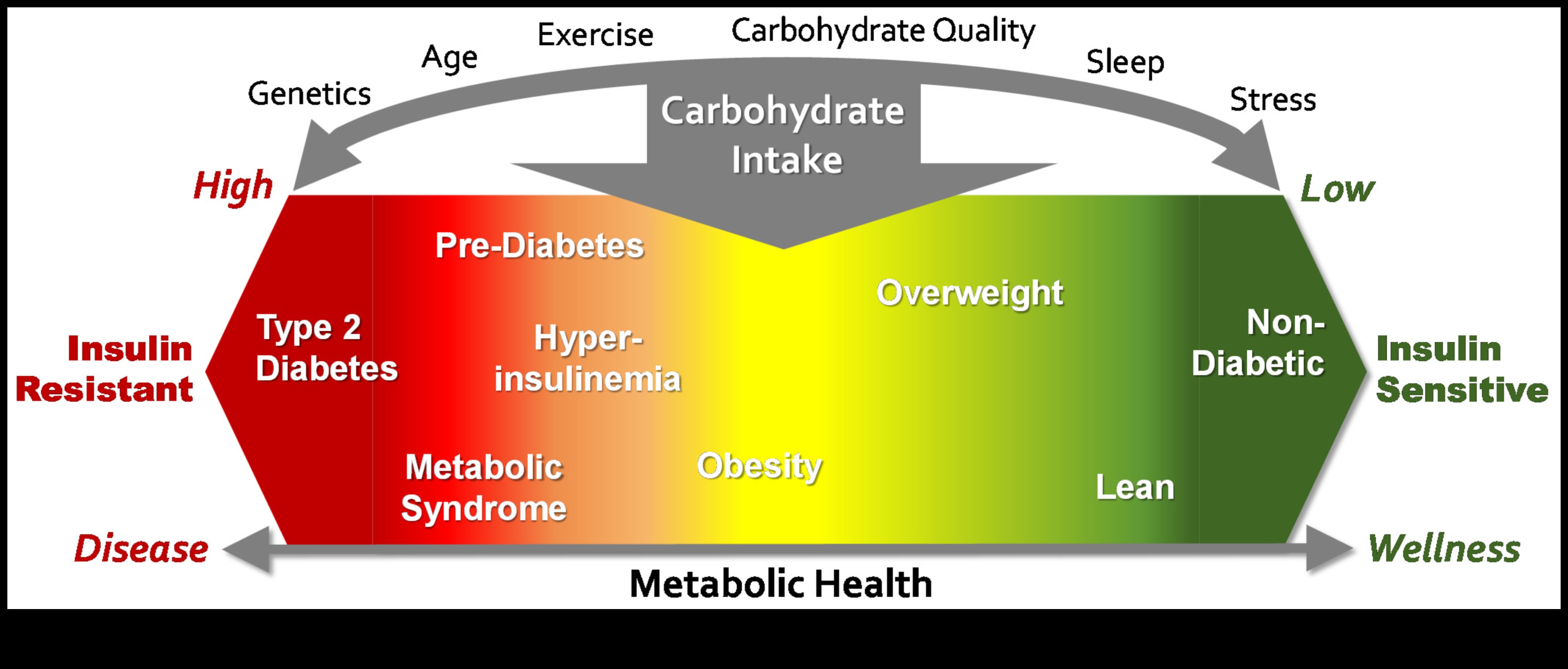 ספקטרום הפחמימות: חקר צבעי הבריאות