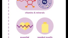Micronutrient Marvels: חקר עולם היסודות החיוניים