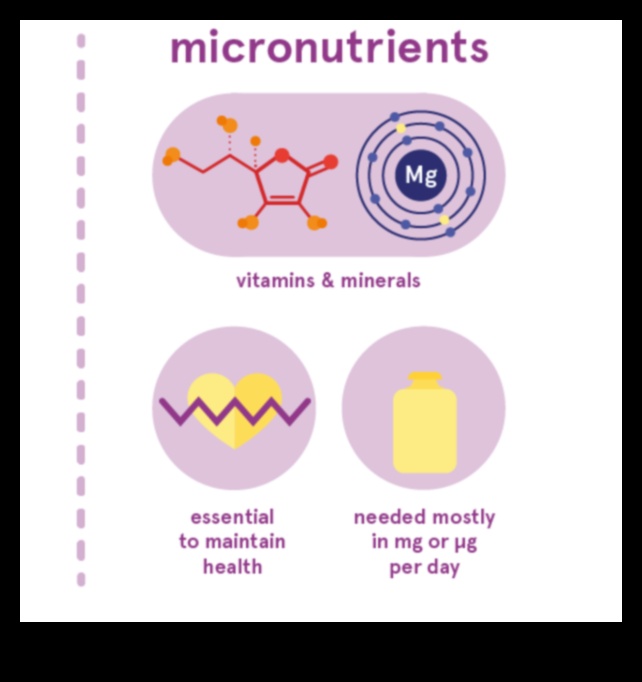 Micronutrient Marvels: חקר עולם היסודות החיוניים