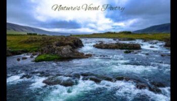 River Reverie: חקר השירה של נחלים ונחלים בנופים