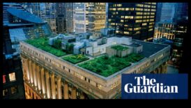 כיצד נופים תורמים למשיכה החזותית של גינות גג עירוניות?