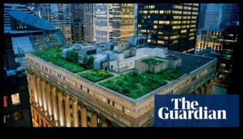 כיצד נופים תורמים למשיכה החזותית של גינות גג עירוניות?