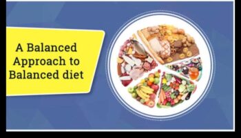 יסודות פחמימות לגוף ונפש משגשגים