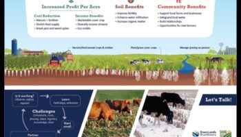 דיאטות דלות פחמימות וחקלאות בת קיימא: גישה ירוקה