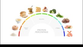 ההשפעה של דיאטות עתירות חלבונים על בריאות המפרקים