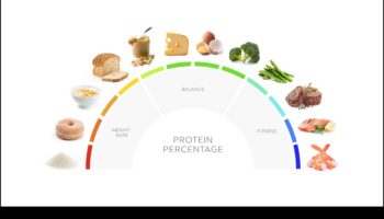 ההשפעה של דיאטות עתירות חלבונים על בריאות המפרקים