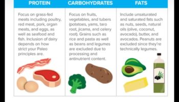 האם אתה יכול לבנות שריר בתזונה פליאוליתית?