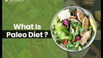 פליאו וחוסן קוגניטיבי: הזנת חיבור גוף-נפש