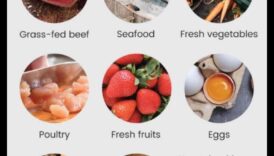 הקשר בין פליאו לבריאות מערכת העיכול