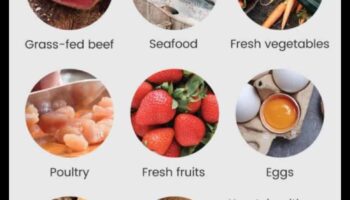 הקשר בין פליאו לבריאות מערכת העיכול