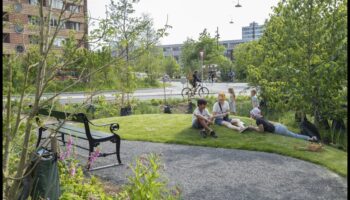 כיצד משפיעות שיטות תרבות על תחזוקת נופים ירוקים עירוניים?