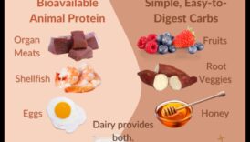 דיאטות עשירות בחלבונים ובריאות בלוטת התריס: פיזור מיתוסים