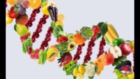 הצלחת הגנטית שלך: מדריך לתזונה מותאמת אישית עם Nutrigenomics